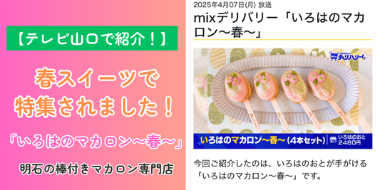 【テレビ山口で紹介!】春スイーツ特集で『いろはのマカロン〜春〜』が地上波デビュー🎉|明石の棒付きマカロン専門店