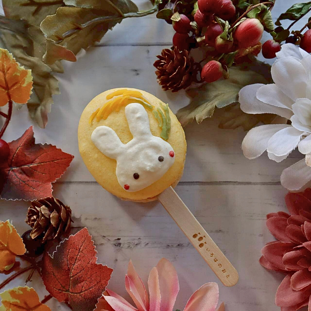 【期間限定】【棒付きマカロン】いろはのマカロン〜茜〜(あかね)