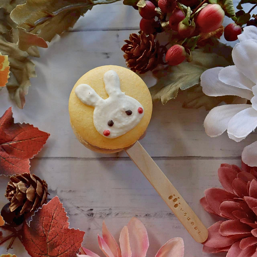 【期間限定】【ミニ棒付きマカロン】ミニいろはのマカロン〜茜〜(あかね)