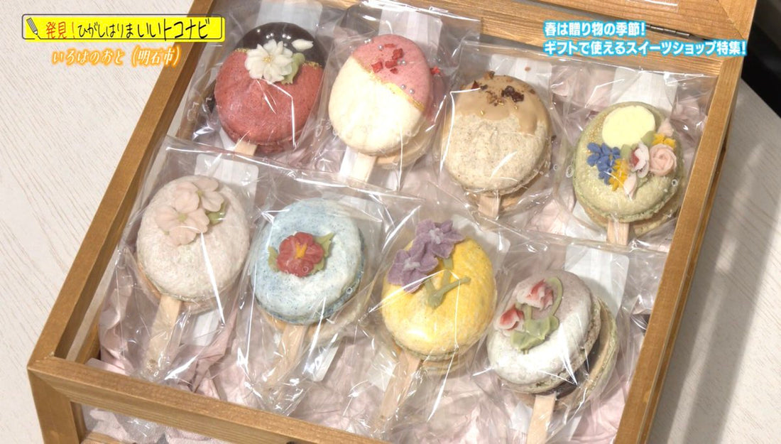 BAN-BANテレビ「ひがタン！」で紹介された明石スイーツいろはのおとの棒付きマカロンギフト