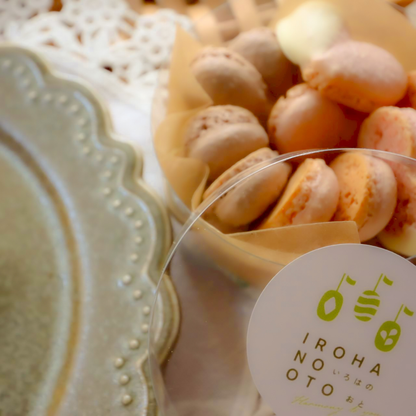 【期間限定】チョコポー（白）