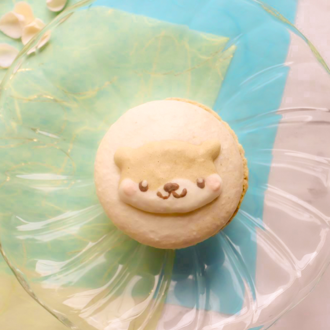 神戸・明石】夏限定ミニマカロンギフト｜ミニいろはのマカロン〜波