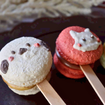 【期間限定】【ミニ棒付きマカロン】ミニいろはのマカロン〜響〜（ひびき）