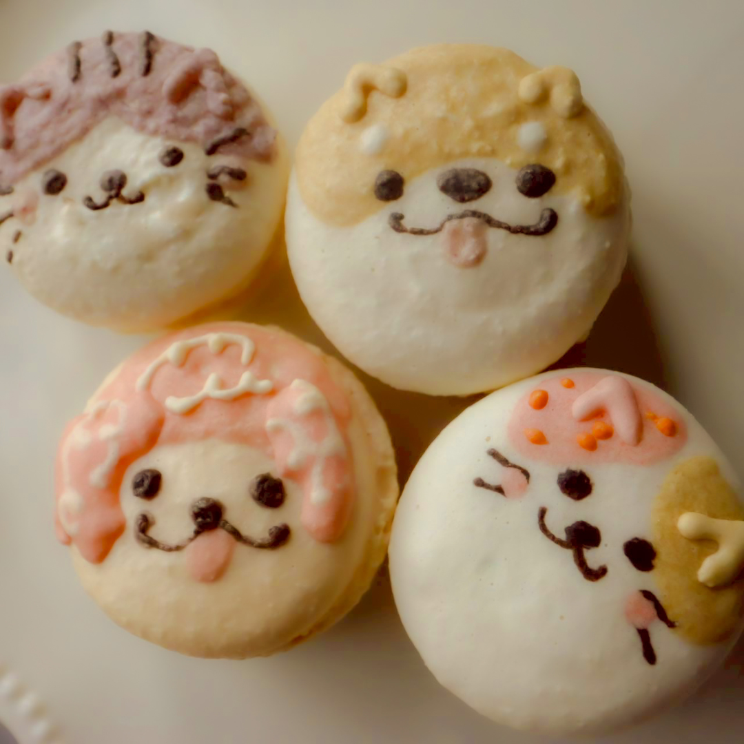 【期間限定】【ミニマカロン】ミニいろはのマカロン〜結〜（ゆい）