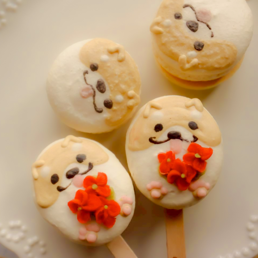 【期間限定】【棒付きマカロン】いろはのマカロン〜結〜（ゆい）